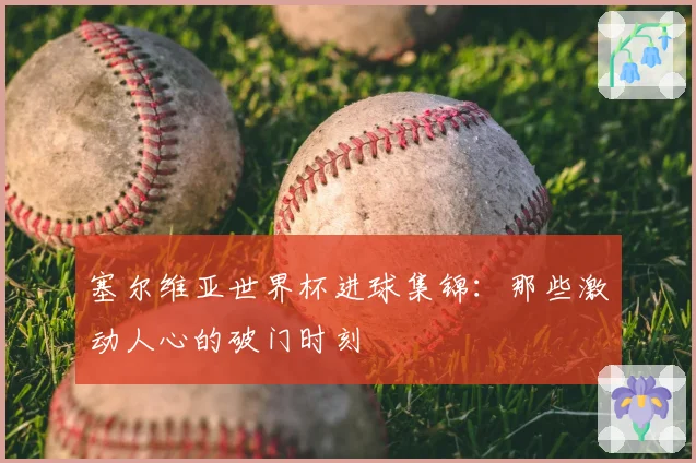 塞尔维亚世界杯进球集锦：那些激动人心的破门时刻