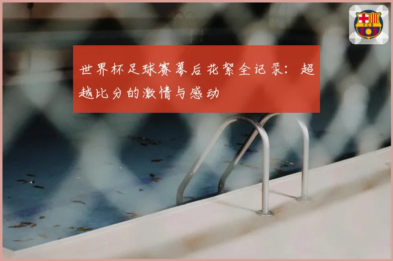 世界杯足球赛幕后花絮全记录：超越比分的激情与感动